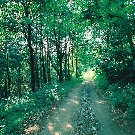 ベッド・アンド・ブレックファスト Amerigo 3*