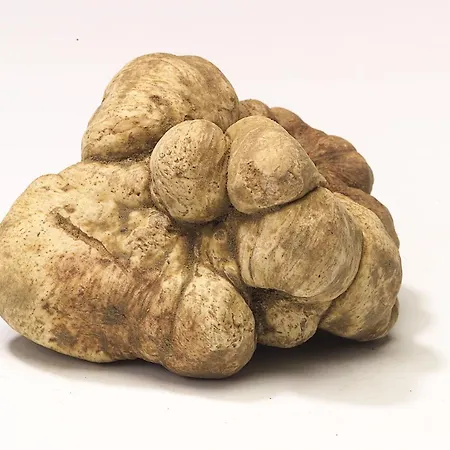 Bed and Breakfast Amerigo