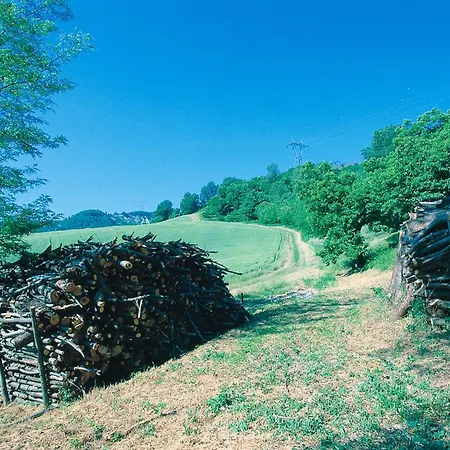 Bed and Breakfast Amerigo Savigno