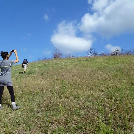 Amerigo Bed and Breakfast