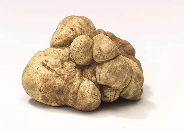 Bed & Breakfast Amerigo