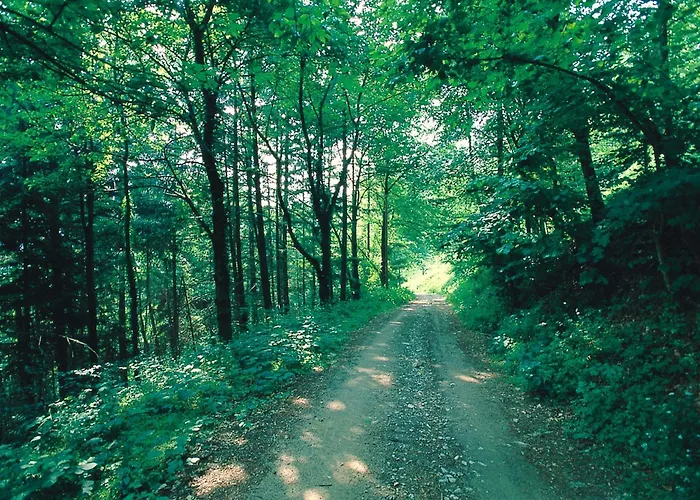 Bed & Breakfast Amerigo 3*